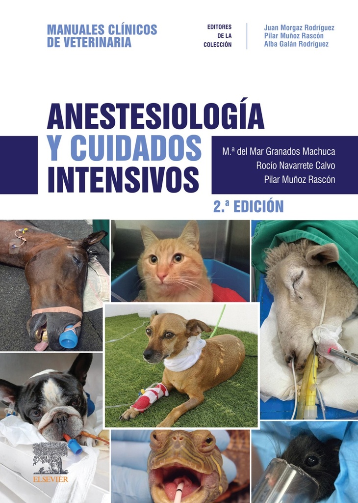 ANESTESIOLOGÍA Y CUIDADOS INTENSIVOS-ISBN:9788413825373