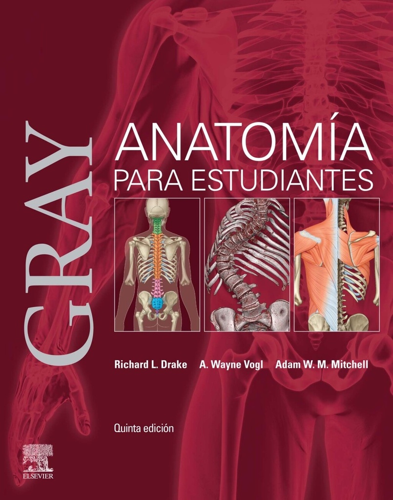 GRAY. ANATOMÍA PARA ESTUDIANTES
