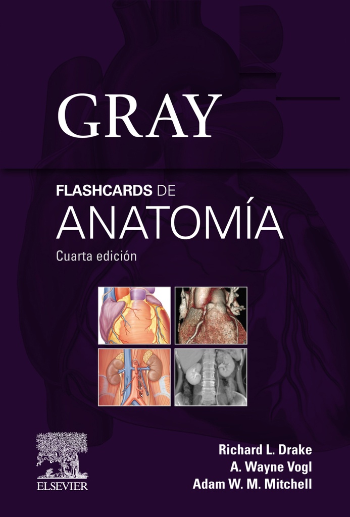 GRAY. FLASHCARDS DE ANATOMÍA